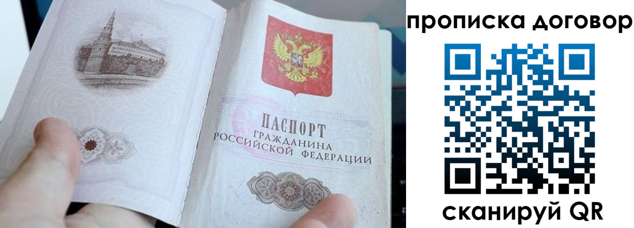 прописка в Пионерском